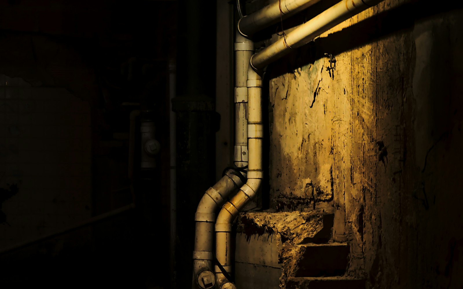 Old plumbing pipes basement