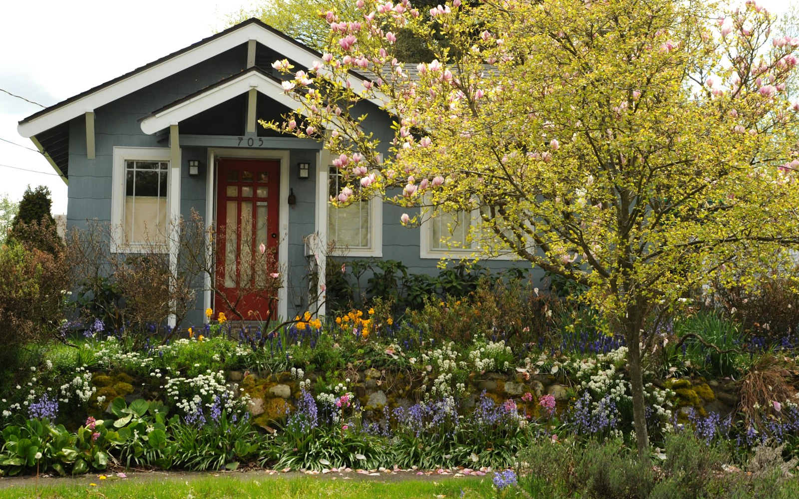 Mature trees garden house