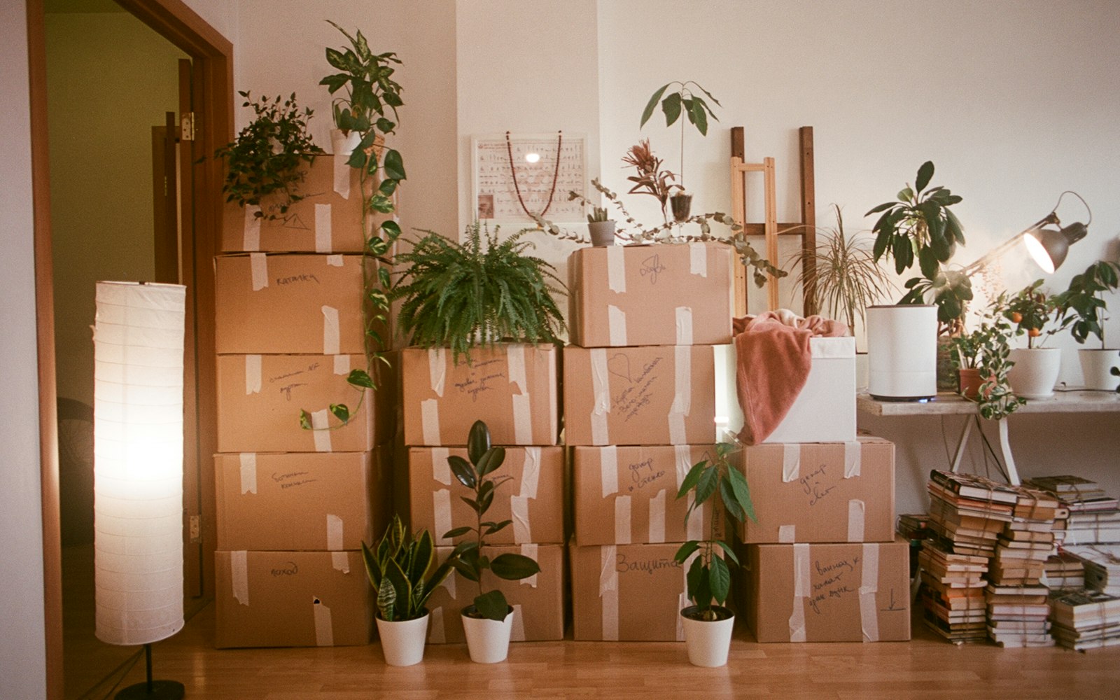 Moving boxes house