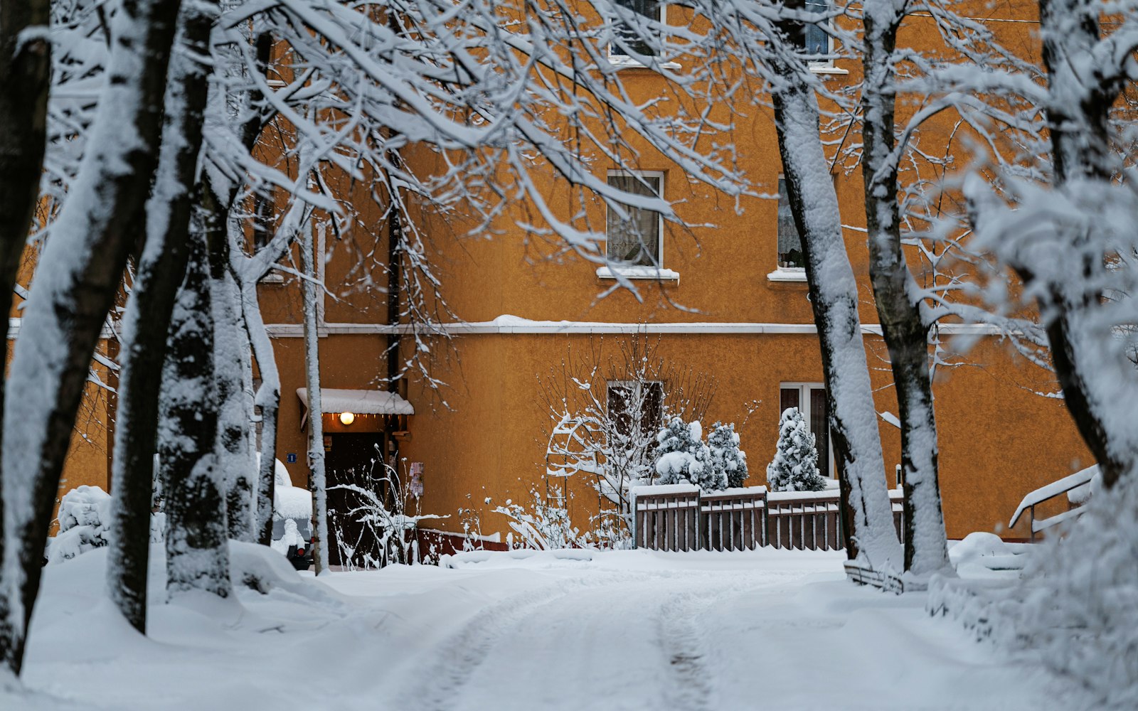 Snowy residential street